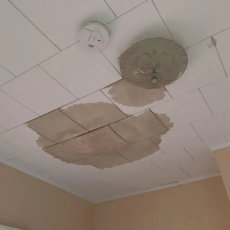 Ceiling Water Damage Repair in Lake Murray of Richland, SC