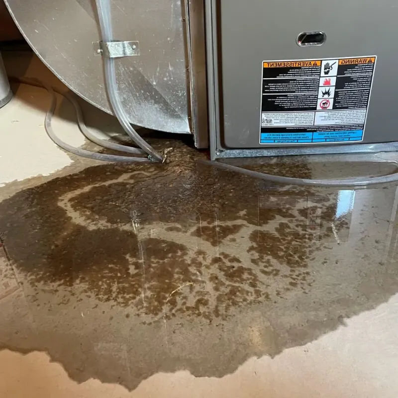 Pipe Burst and Leak Restoration in Lake Murray of Richland, SC